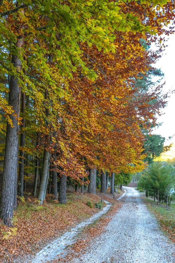 Boticas Parque Natur Houses מראה חיצוני תמונה