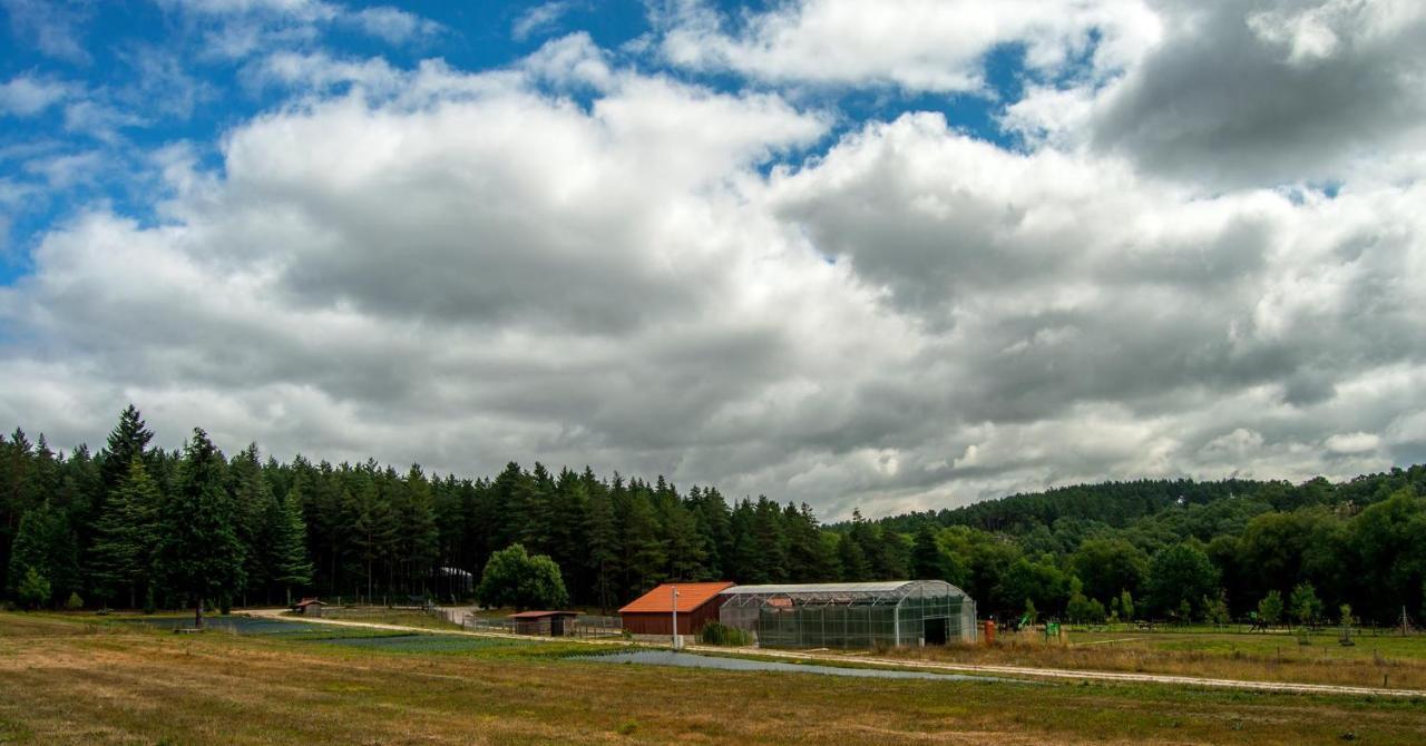 Boticas Parque Natur Houses מראה חיצוני תמונה