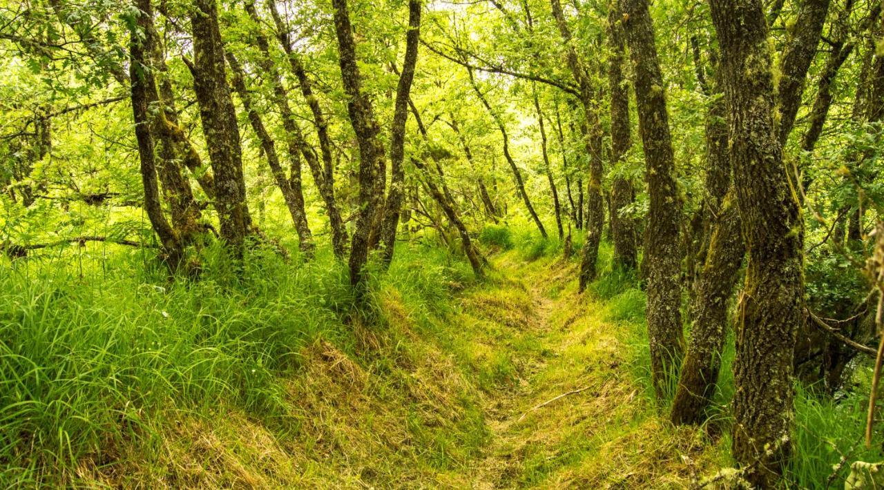 Boticas Parque Natur Houses מראה חיצוני תמונה